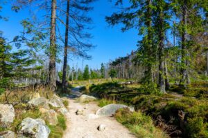 Elendstal Harz 30 wanderung rund um das torfhaus im nationalpark harz