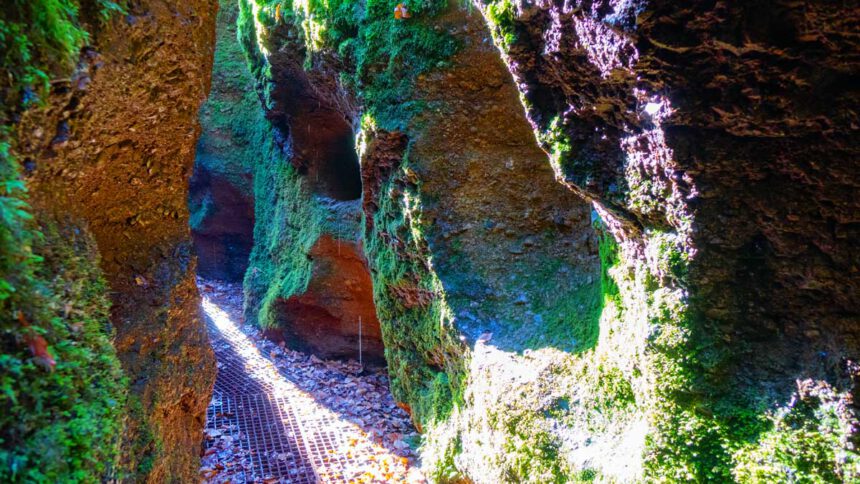 drachenschlucht und landgrafenschlucht eisenach wanderung