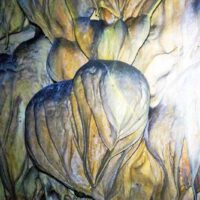 Rosenmüllerhöhle in Muggendorf 11 rosenmüllerhöhle muggendorf fränkische schweiz