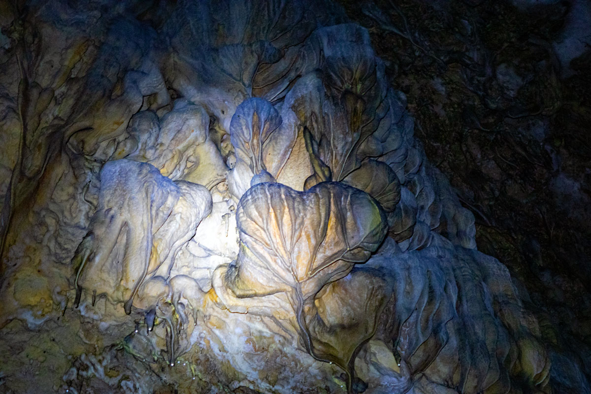 die schönsten höhlen im naturpark fränkische schweiz rosenmüllerhöhle