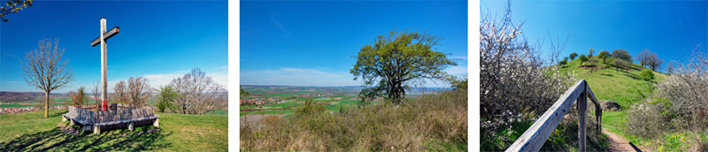 Erlebnispfad Petersberg Marktbergel 7 erlebnispfad petersberg neustadt aisch familie kinder wandern