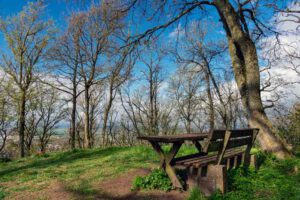 bank am iphöfer knuck auf dem traumpfad schwanberg steigerwald