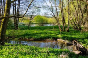 wandern nürnberger land thanngraben