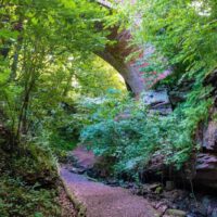 Seltenbachschlucht in Klingenberg 25 schlucht klamm franken mainfranken unterfranken seltenbachschlucht klingenberg
