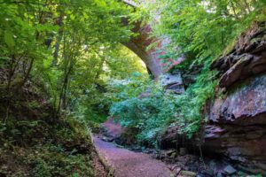 schlucht klamm franken mainfranken unterfranken seltenbachschlucht klingenberg