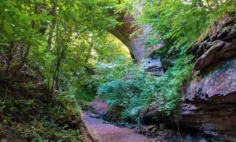 Seltenbachschlucht in Klingenberg 2 schlucht klamm franken mainfranken unterfranken seltenbachschlucht klingenberg