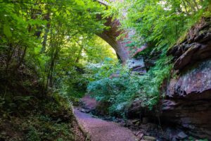 Salamanderweg Eckersdorf (Oberfranken) 18 schlucht klamm franken mainfranken unterfranken seltenbachschlucht klingenberg