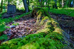 Naturlehrpfad Weißenohe zur Lillachquelle 29 wandern hechlingen altmühltal steinerne rinne