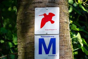 markierung wegweiser rote Schnepfe seltenbachschlucht rundweg klingenberg