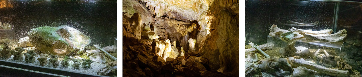könig-otto-tropfsteinhöhle velburg bayern schauhöhle