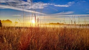die schönsten wanderungen wandertouren landkreis roth
