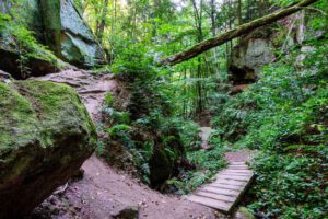 Halbtagestouren über 10 km im Landkreis Roth 23 wandern im landkreis roth massendorfer schlucht