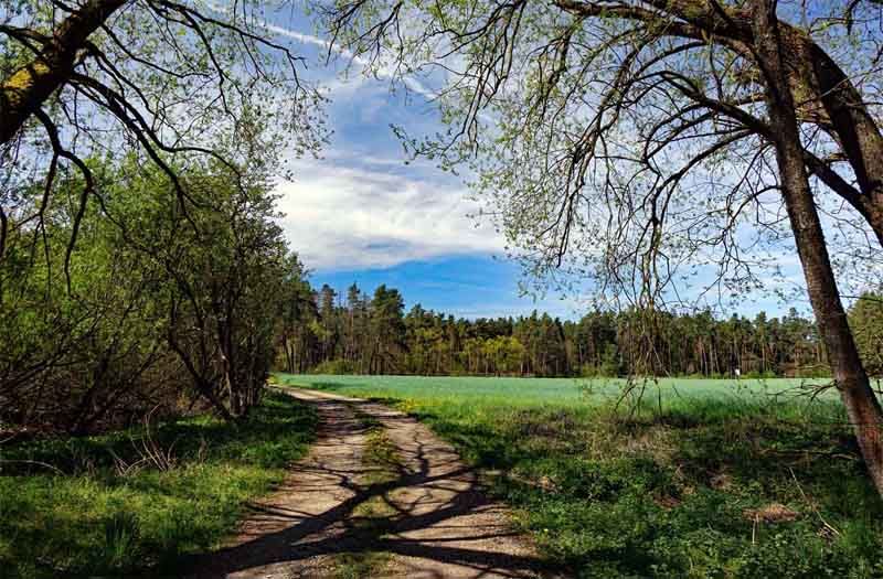 10 bezaubernde Wandertouren im Altmühltal 12 eibachgrund nr 8 wandern hilpoltstein landkreis roth mittelfranken altmühltal