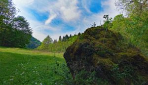 wanderung von behringersmühle nach oberailsfeld durch das romantische ailsbachtal