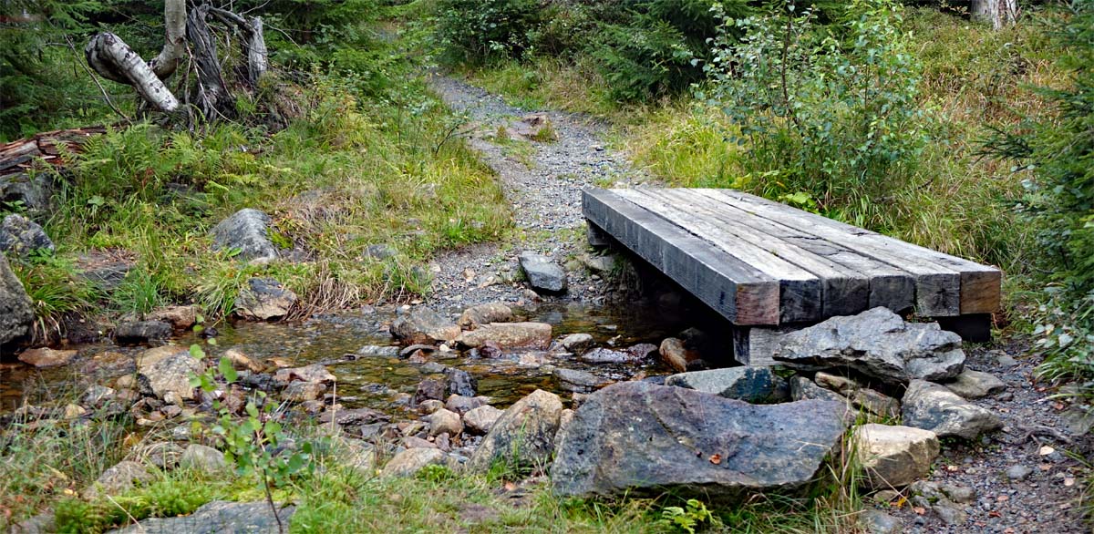 Von der Racheldiensthütte zum Rachelsee 6 steg über den seebach am großen rachel bayerischer wald