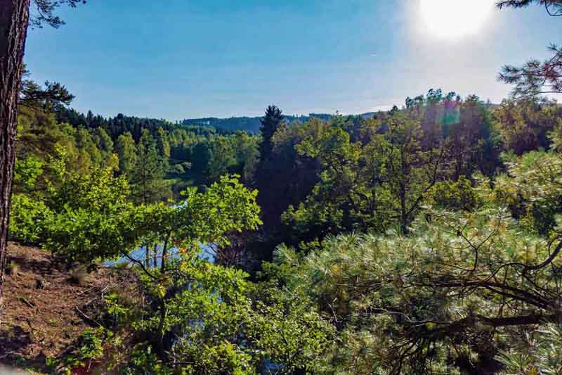 Urwaldpfad Hirschberg 9 urwaldpfad hirschberg saale grünes band