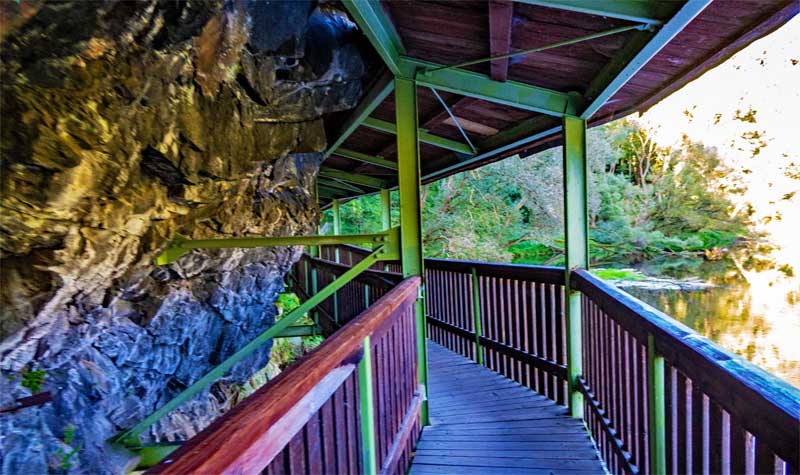Urwaldpfad Hirschberg 15 hängesteg hirschberg saale thüringen