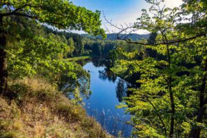 urwaldpfad hirschberg thüringen wandern