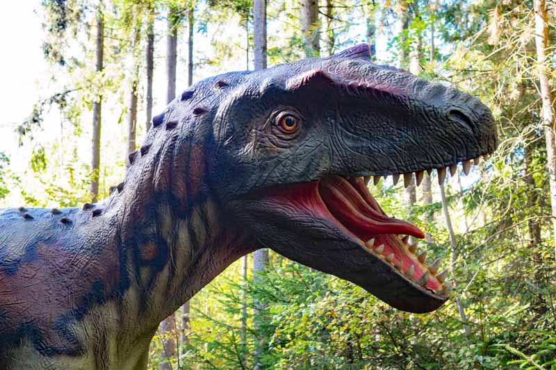 Dinosaurier Museum Altmühltal 4 allosaurus im dinosaurier museum altmühltal dinopark denkendorf