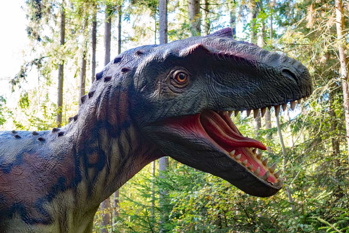 allosaurus im dinosaurier museum altmühltal dinopark denkendorf