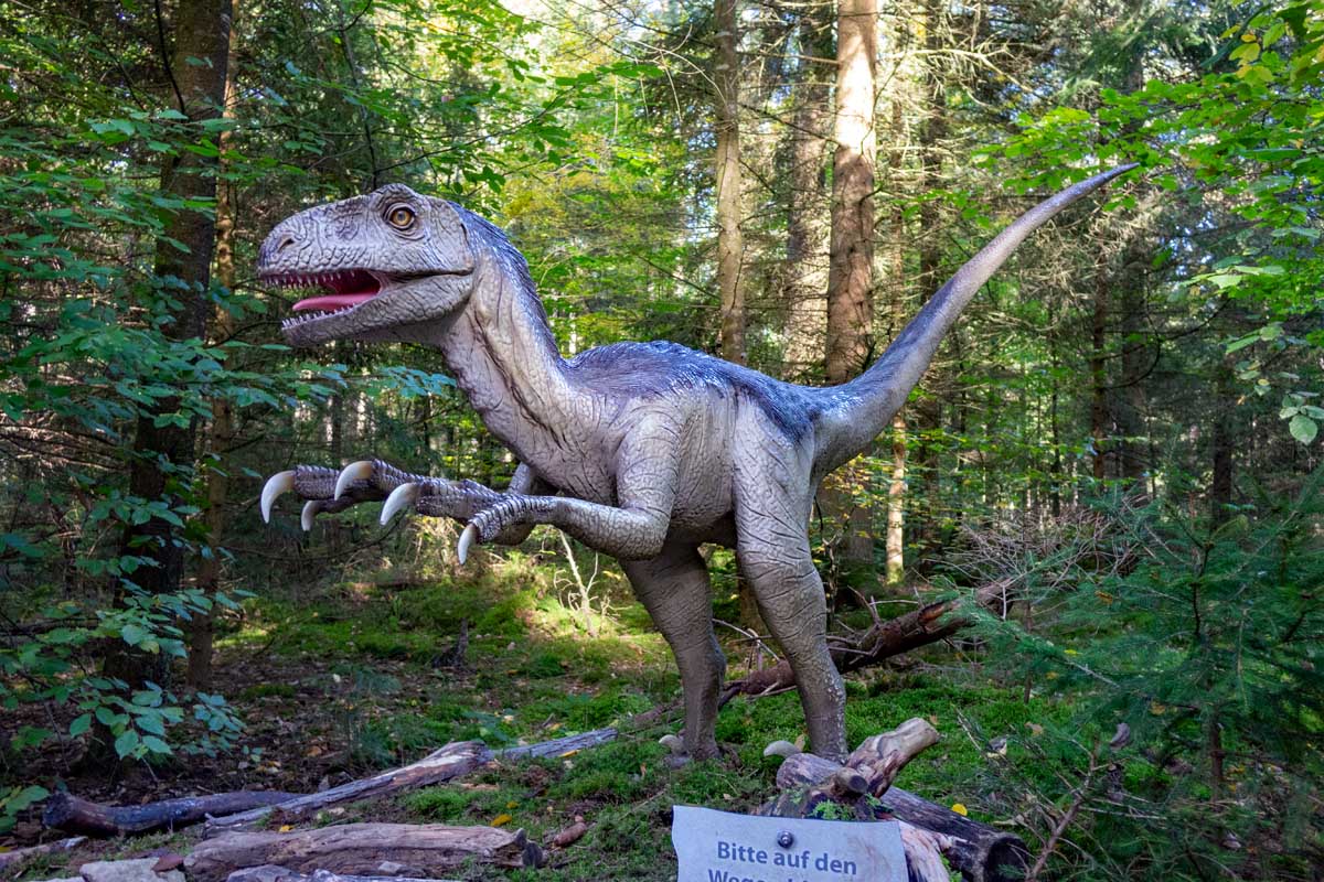 dino dinosaurier park museum bayern altmühltal