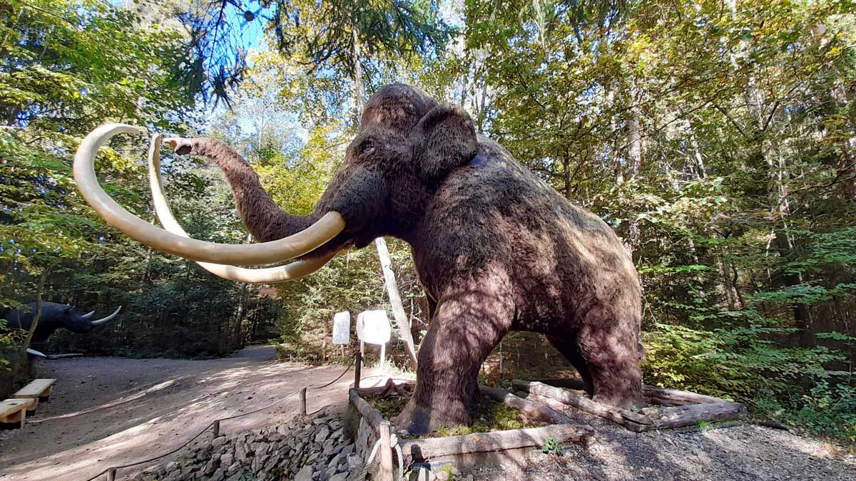 mammut eiszeit dinosaurier park museum altmühltal bayern