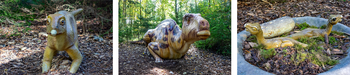 dinobaby dinosaurierkinder dinosaurier museum altmühltal denkendorf bayern