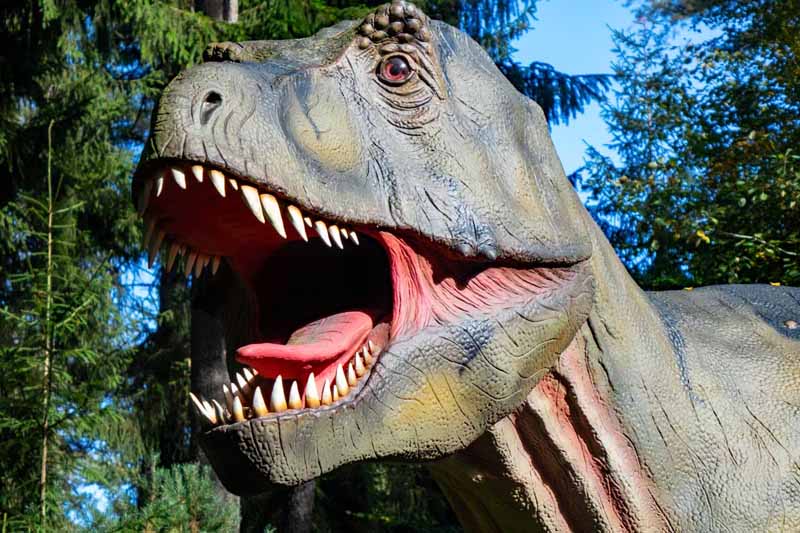 Dinosaurier Museum Altmühltal 14 t rex tyrannosaurus museum dino dinosaurier denkendorf altmühltal bayern