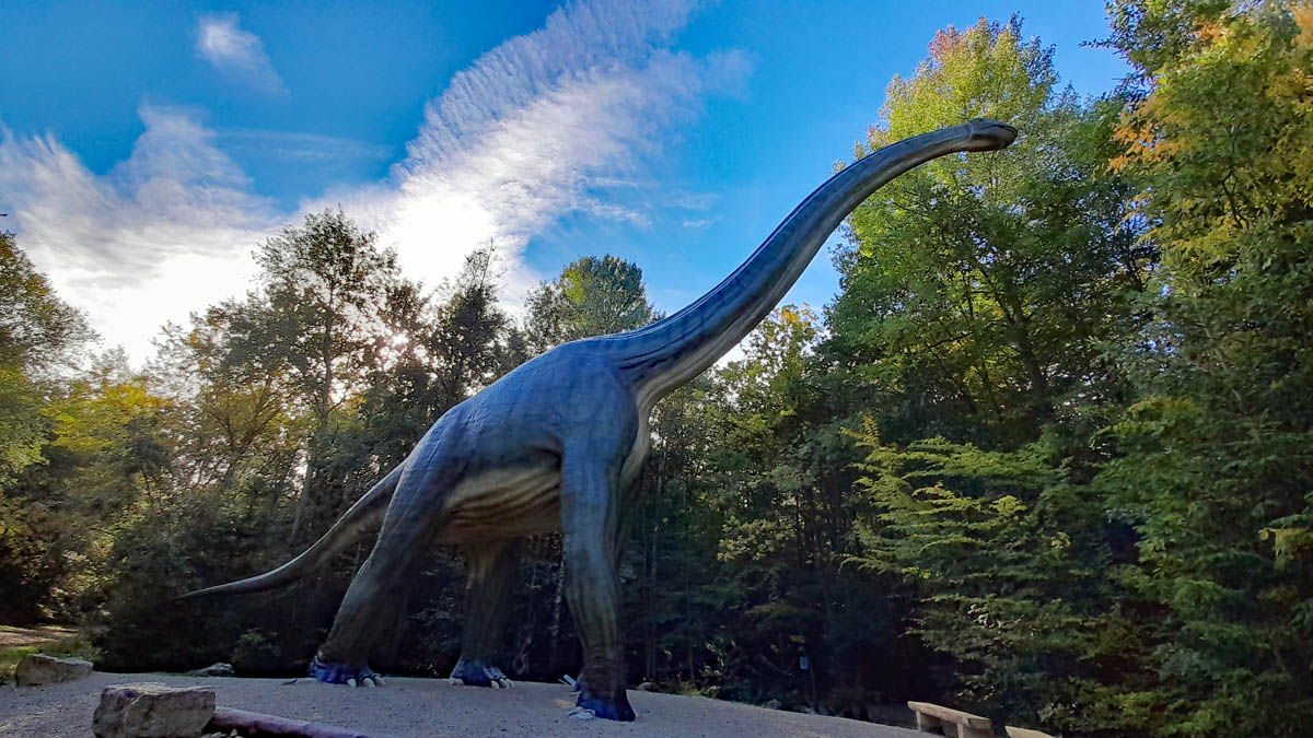 riesen dinosaurier altmühltal langhals brachiosaurus
