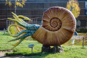 altmühltal ausflug dinosaurier museum park ammoniten