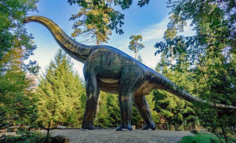 Dinosaurier Museum Altmühltal 2 dinosaurier museum altmühltal dinopark bayern denkendorf