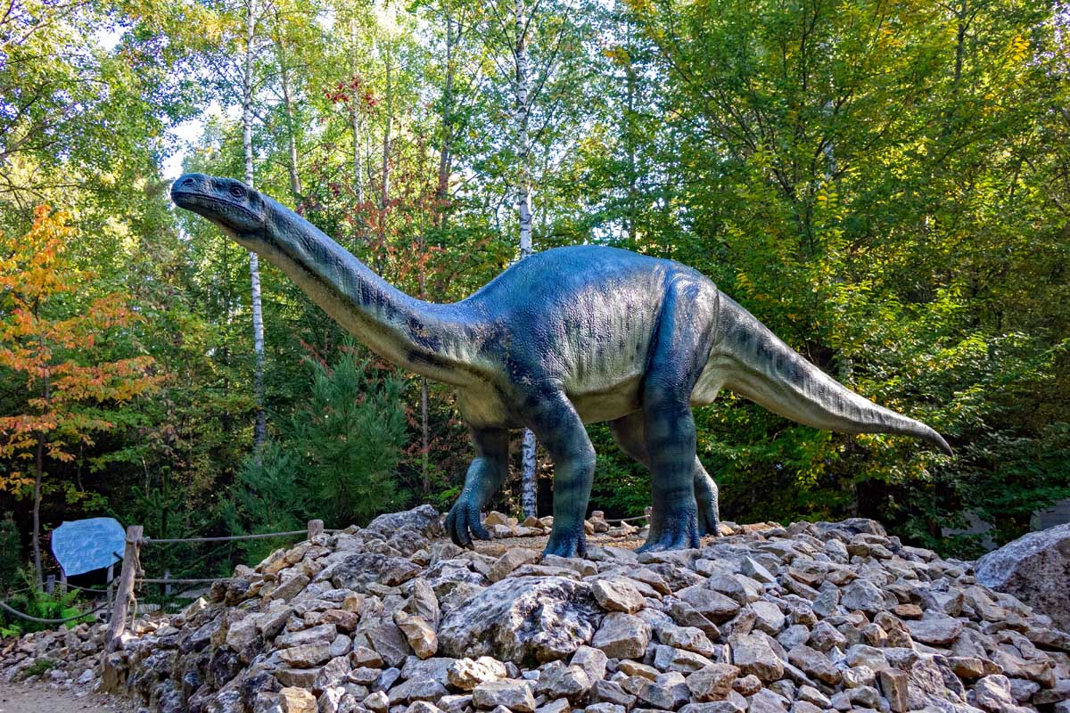 ausflug familie kinder dinosaurier park museum altmühltal denkendorf