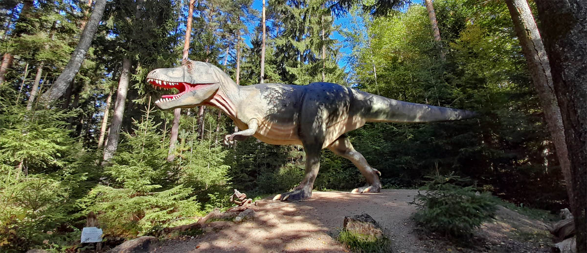publikumsliebling tyrannosaurus rex im dinosaurierpark bayern altmühltal