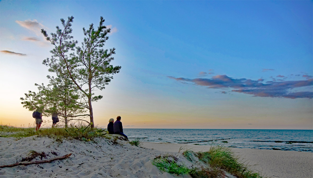 NATIONALPARKS IN DEUTSCHLAND 19 nationalparks in deutschland vorpommersche boddenlandschaft ostsee
