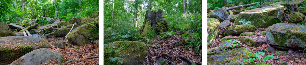 naturdenkmal felsenmeer miltenberg odenwald main