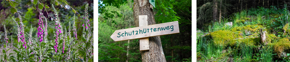 ottosteinweg m2 miltenberg main odenwald geopark schutzhüttenweg
