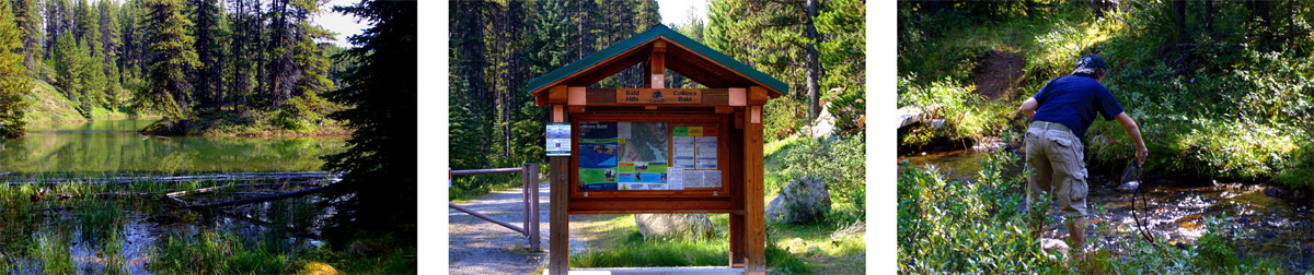 rundreise wohnmobil kanada jasper nationalpark banff