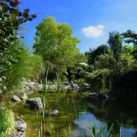 leyk lotosgarten rothenburg park garten japan