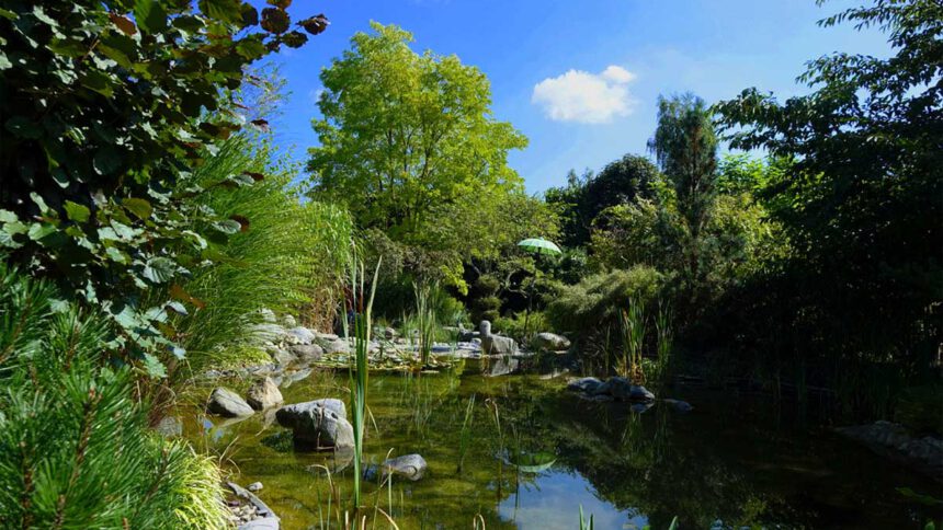 leyk lotosgarten rothenburg park garten japan