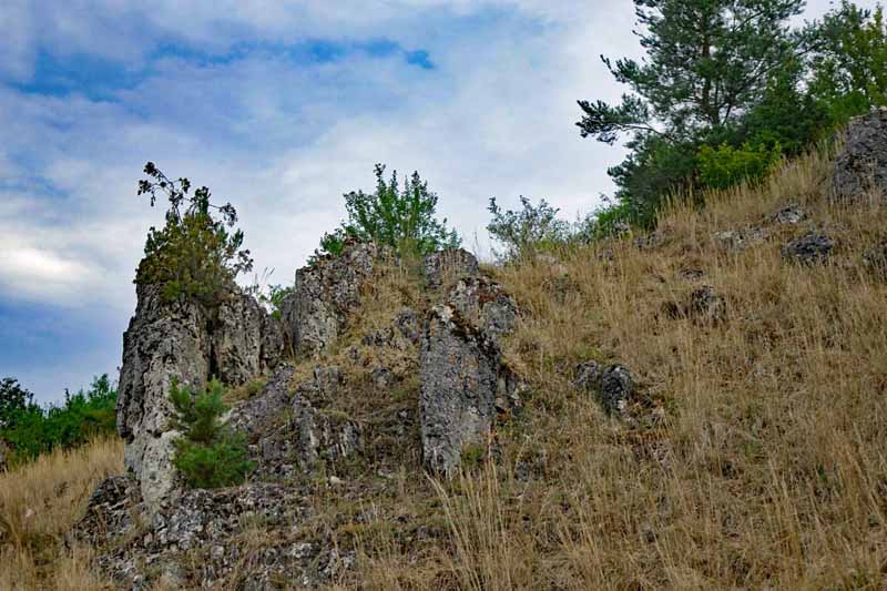 Wacholderwanderweg Teil 2 (Hohenburg - Kastl) 4 wacholderwanderweg etappe 2 felsen wacholderheide hohenburg lauterachtal