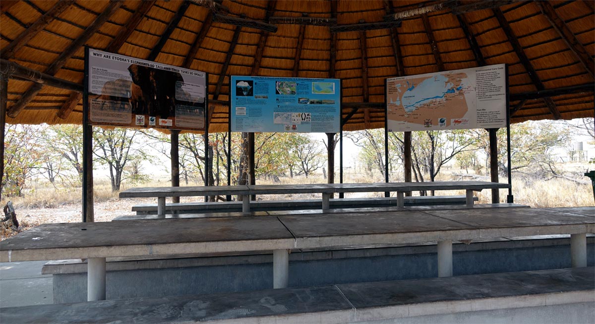 info rastplatz etosha nationalpark namibia