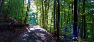 touren in bayern wandern ausflug interaktive karte