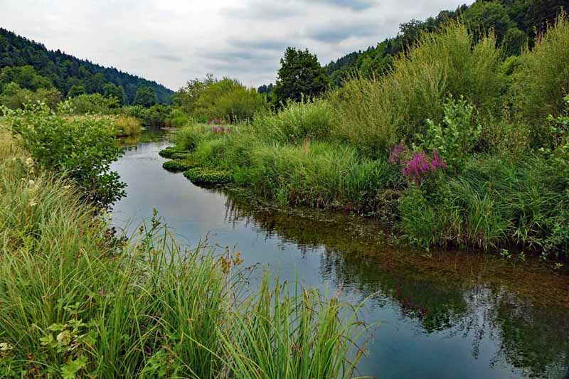 Wacholderwanderweg Teil 2 (Hohenburg - Kastl) 11 lauterach lauterachtal wacholderwanderweg hohenburg kastl tag 2 etappe