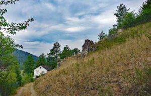 Wacholderwanderweg Teil 2 (Hohenburg - Kastl) 10 wacholderwanderweg oberpfälzer toskana bayern hohenburg kastl