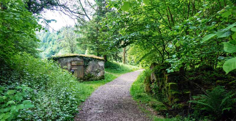 Klumpertal Rundweg Pottenstein 9 klumpermühle klumpertal pottenstein wanderung fränkische schweiz bayreuth