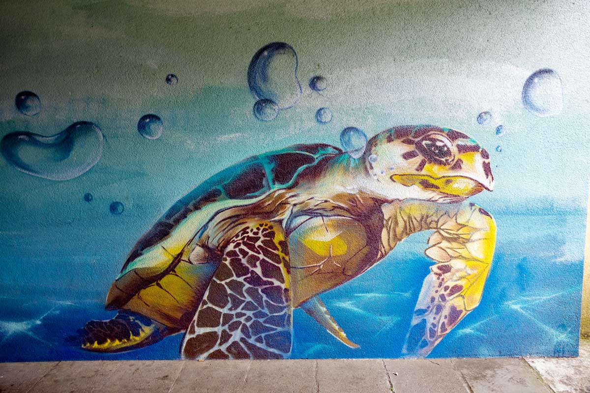 meer schildkröte graffiti urban art langwasser rundgang