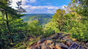 Steinachklamm 23 naturpark frankenwald bayern oberfranken ausflug wandern