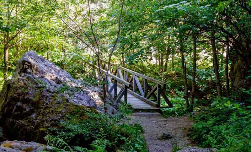 Steinachklamm 2 schlucht klamm steinachklamm frankenwald bayern