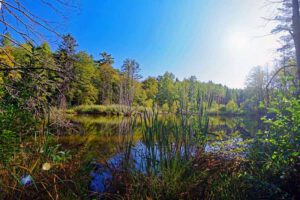 faberhof pyrbaum biberpfad wandern weiher oberpfalz