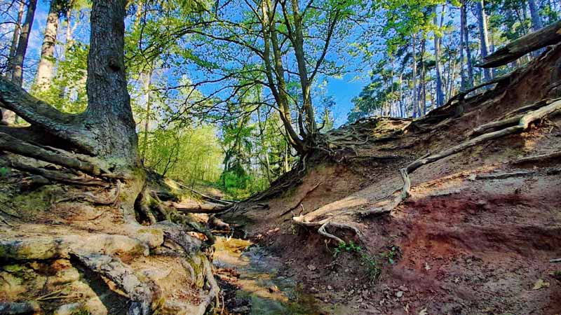 Indianerschlucht Erlangen 12 indianerschlucht erlangen buckenhof uttenreuth wandern